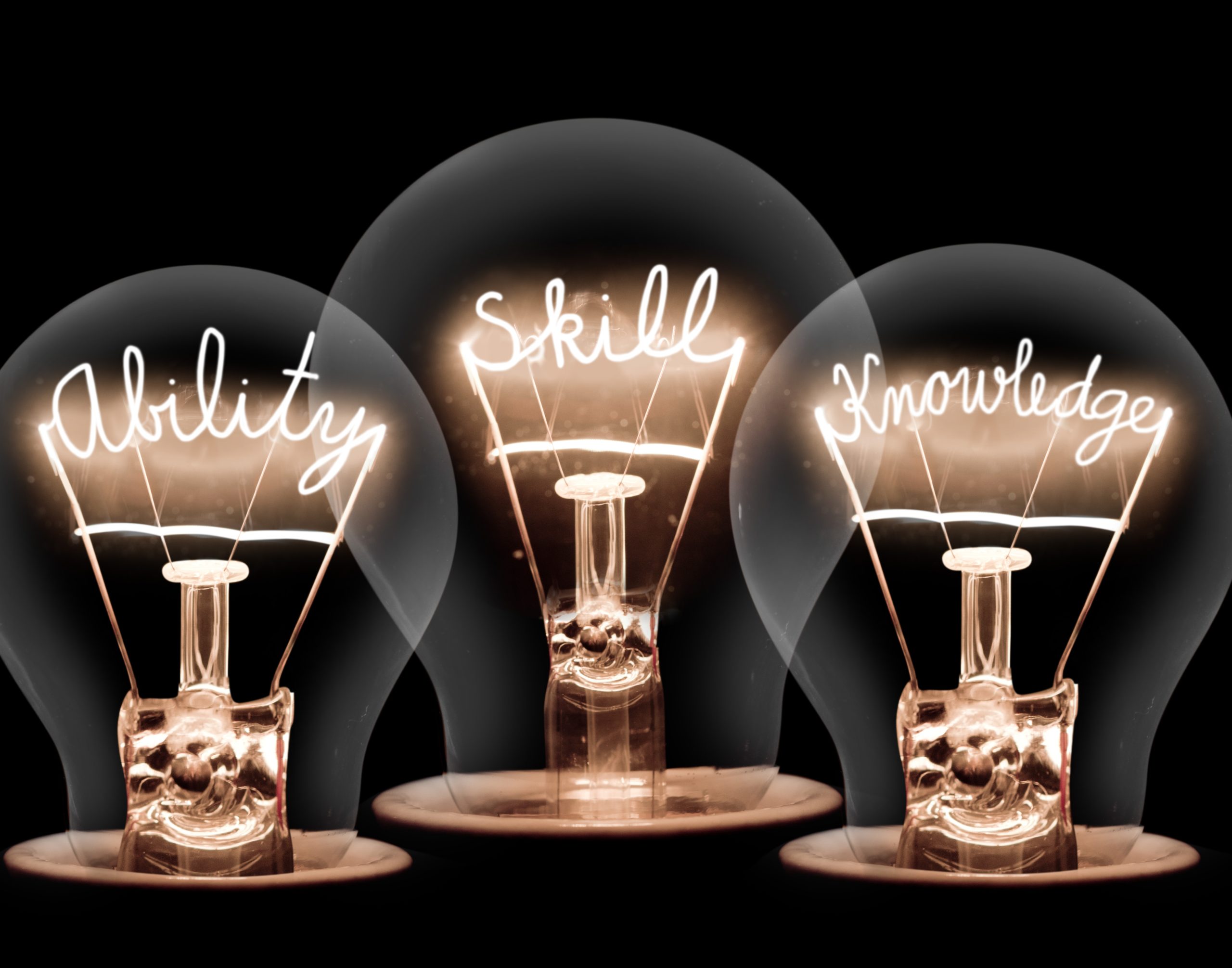 Light Bulbs Concept