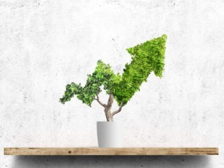 Greener general practice: how to advocate for environmental sustainability