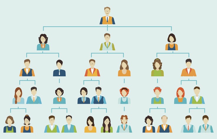 Organizational chart corporate business hierarchy