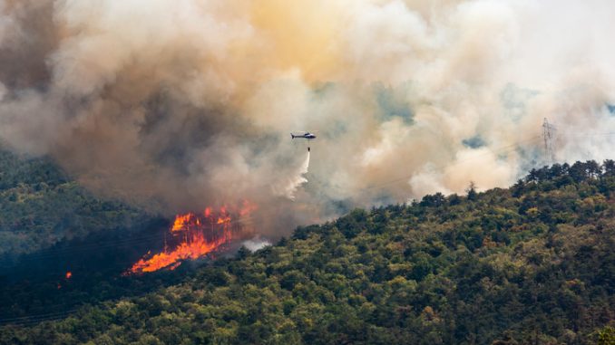 Helicopter against wildfire during strong wind and drought 