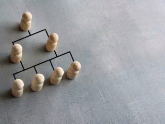 Company hierarchical organizational chart using wooden dolls
