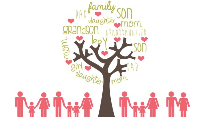 family tree