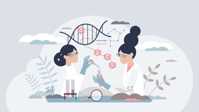 Epigenetics research and study of DNA gene expression tiny person concept. Work scene with phenotype changes experiment in microbiology lab vector illustration. Genetic sequence science and knowledge.