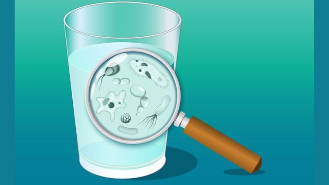 A glass of water and magnifying glass. Close-up of water microbe.