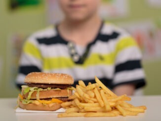 Hamburger and french fries for unhealthy lunch