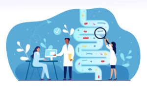 Male and female doctors are studying gut microflora together. Concept of digestive stomach living organisms and gastrointestinal microbe living in gut. Flat cartoon vector illustration