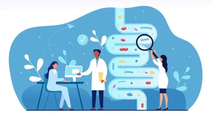Male and female doctors are studying gut microflora together. Concept of digestive stomach living organisms and gastrointestinal microbe living in gut. Flat cartoon vector illustration