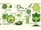 Biotechnology and scientific research concept. Includes components such as plants, DNA, molecules, test tubes, syringes. Medicals production and bioengineering. Web banner template, flat vector design